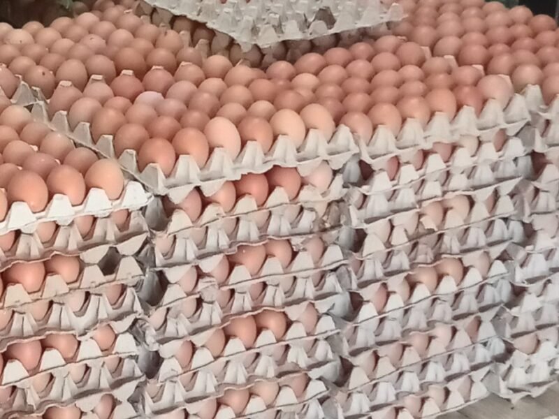 Farm Fresh Eggs 🥚 🍳