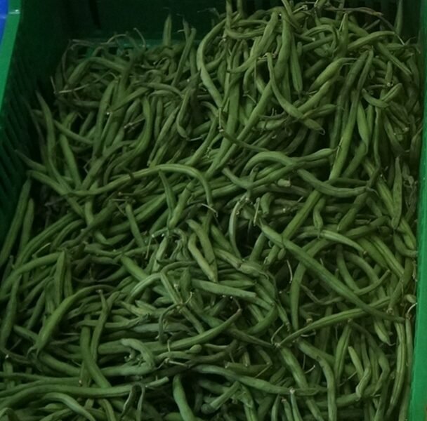 Green Beans: Loaded with health benefits!