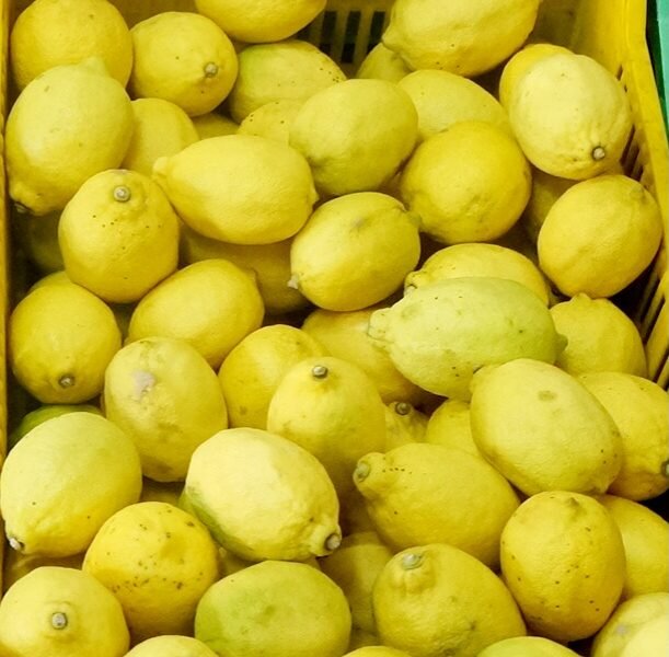 Lemons 🍋 🍋 🍋